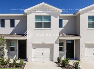 31215 Monterey Pine St, Wesley Chapel, FL 33545