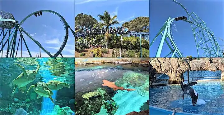 Get into aquatic adventures at the nearby water park & the wonders of SeaWorld.
