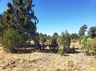 2956 Lodgepole Rd, Overgaard, AZ 85933