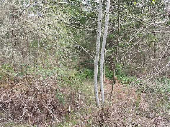 2nd image of 675 Woodland Dr