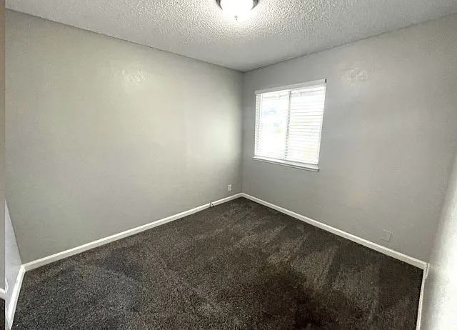 1009 Whistler Dr — Photo 11