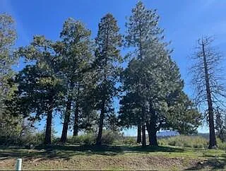 Crossbill Dr Lot 976 photo 1