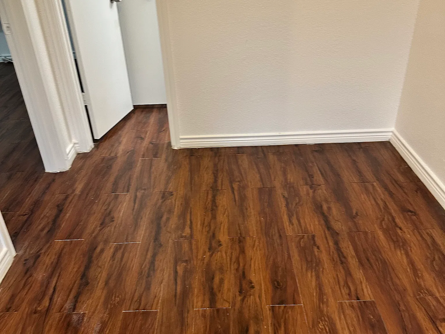 1 bed, 800 sqft, $970 — Photo 4