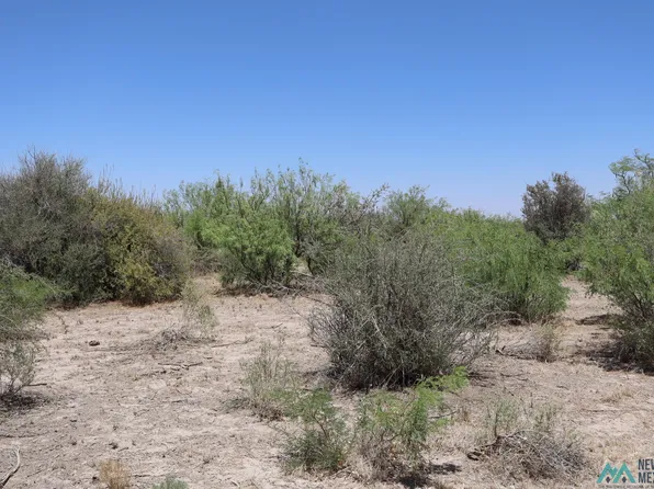 Camino Once Rd SW, Deming, NM 88030
