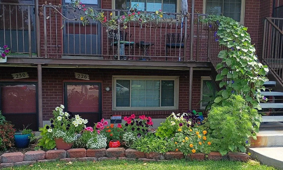 2 bed, 900 sqft, $1,550 — Photo 1
