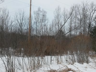 Weaver Rd, Fairview, MI, 48621