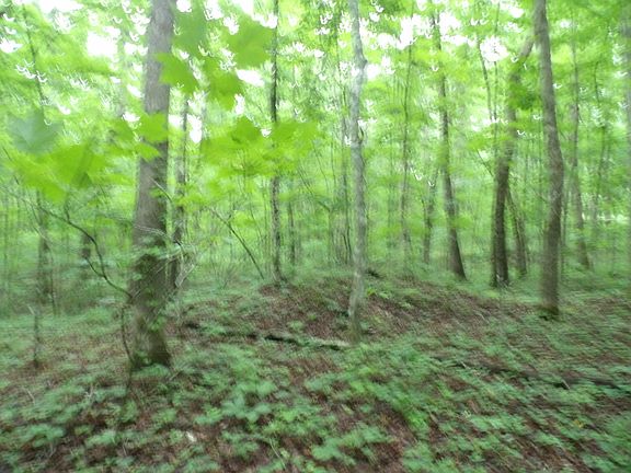 5th image of 0 Beech Point Cir