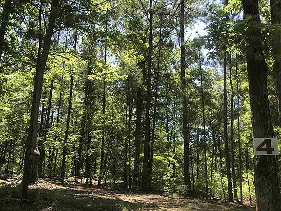 5th image of 26 Eagles Nest Dr
