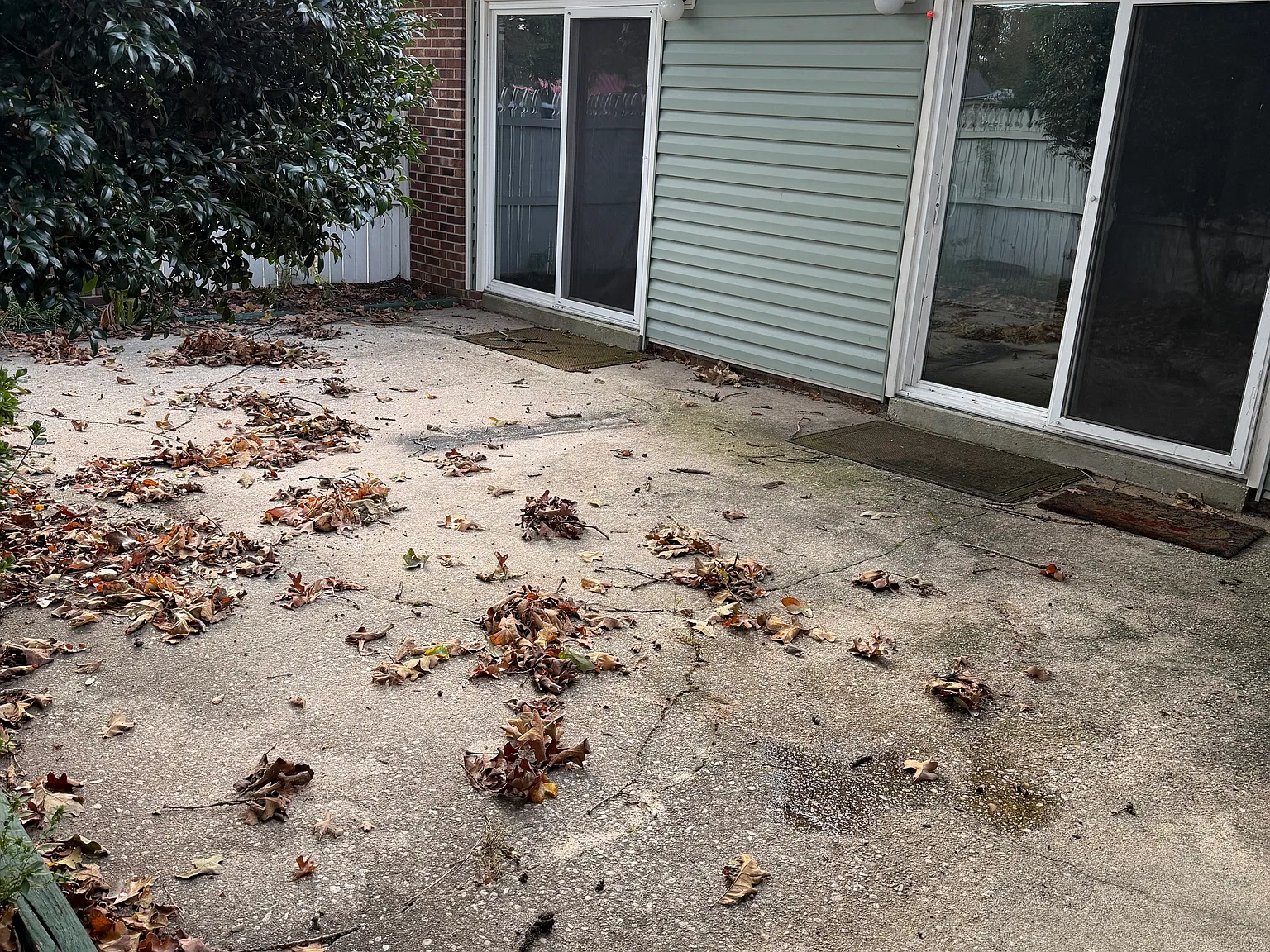 4 bed, 1879 sqft, $1,750 — Photo 2