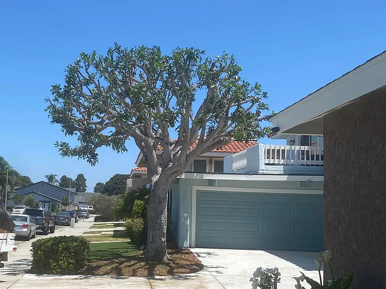 16672 Blanton Ln #1 — Photo 19
