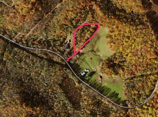 342 Tiger Creek Rd, Roan Mountain, TN 37687