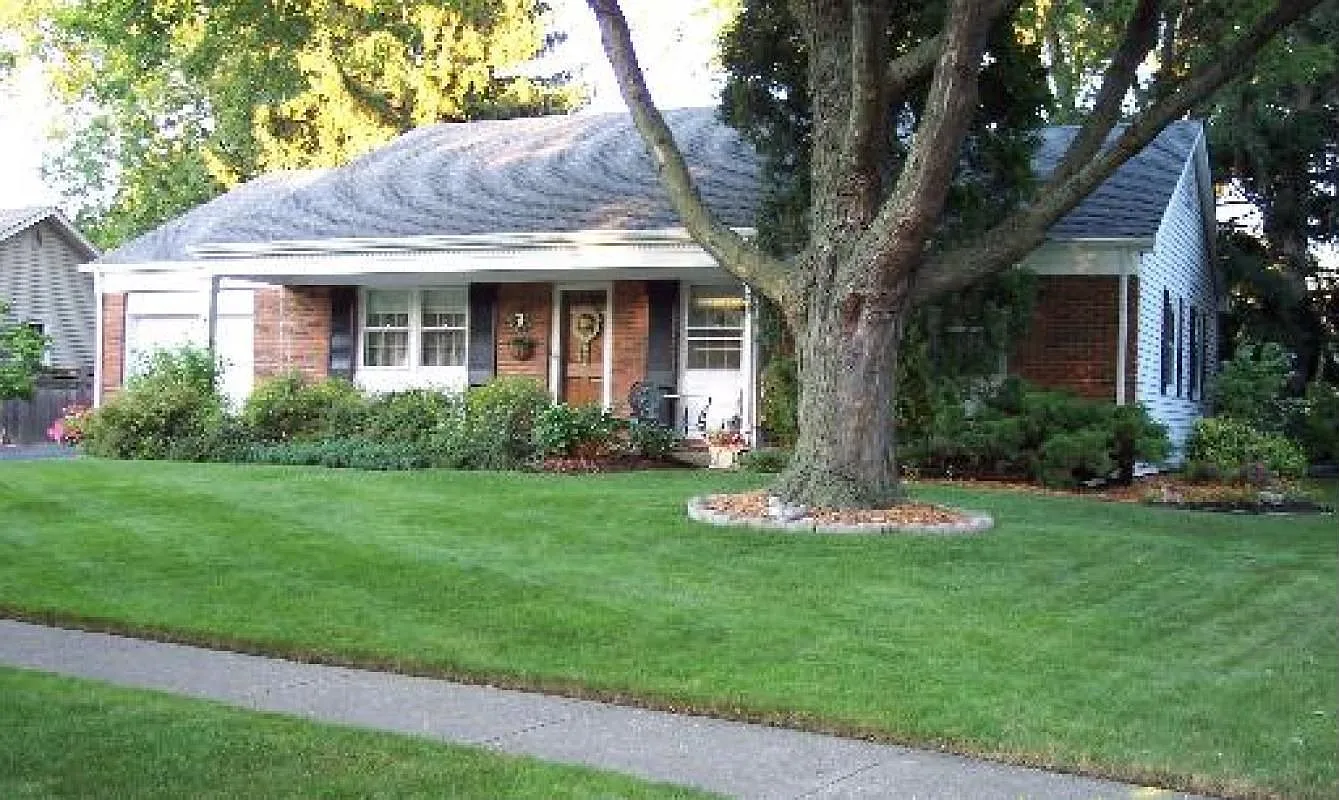 790 Twisted Oak Ln photo 1