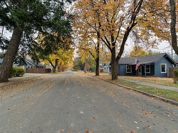 tree lined street