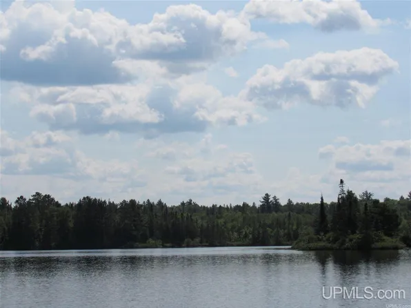 Off Berry Rd, Michigamme, MI 49861