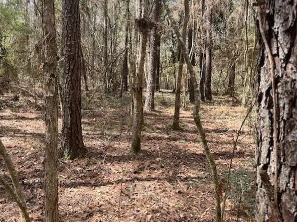 Airline Hwy, Tylertown, MS 39667