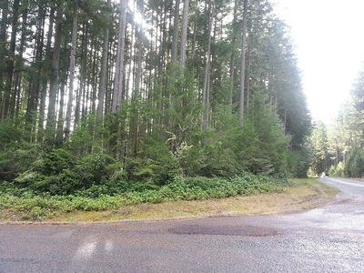 12711 Camus Rd, Anderson Island, WA, 98303