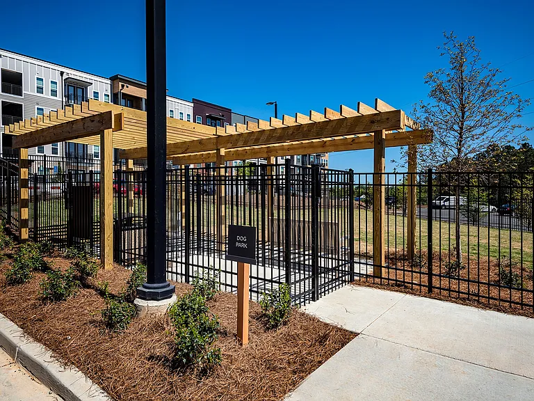 Dog Park