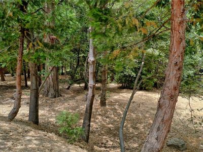 27513 Meadow Bay Dr, Lake Arrowhead, CA, 92352