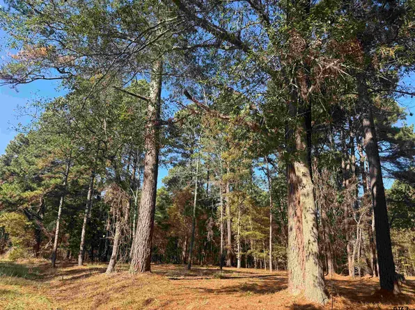 186 Susan Dr, Bullard, TX 75757