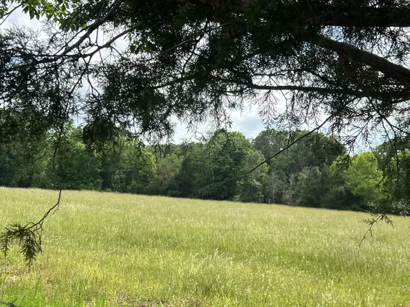 0 George Durham Rd Lot 1, Westmoreland, TN 37186