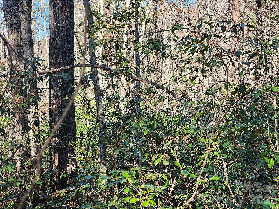 1st image of 4 Whitney Blvd