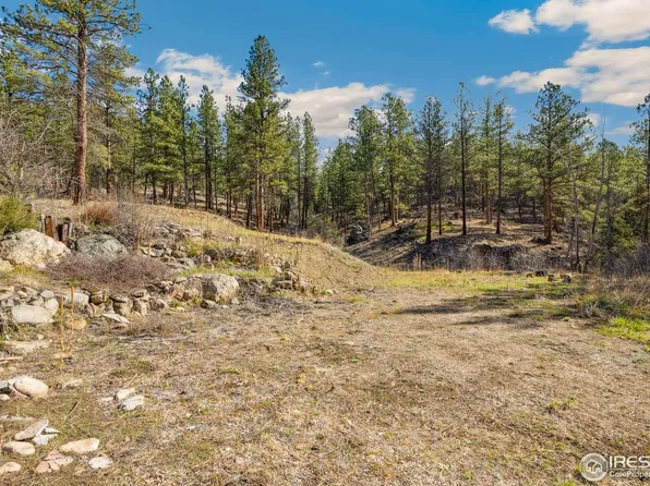 755 Fox Creek Rd, Glen Haven, CO 80532