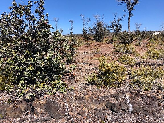 4th image of Ohia Dr Lot 32