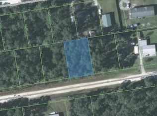 126 Pineshore Rd, Satsuma, FL 32189