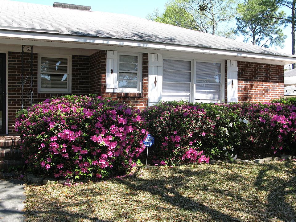 March flowers 