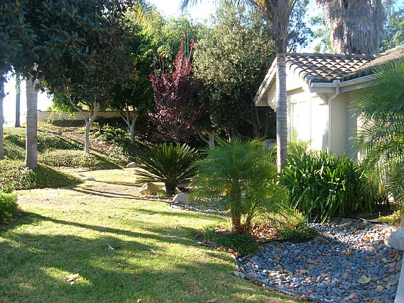 front yard