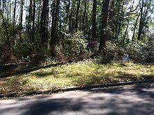 1st image of 2821 Roscommon Dr