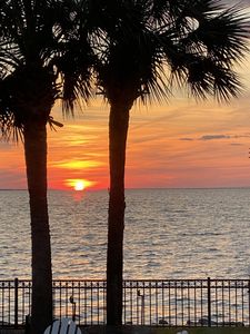 3221 Bay Estates Cir, Miramar Beach, FL, 32550