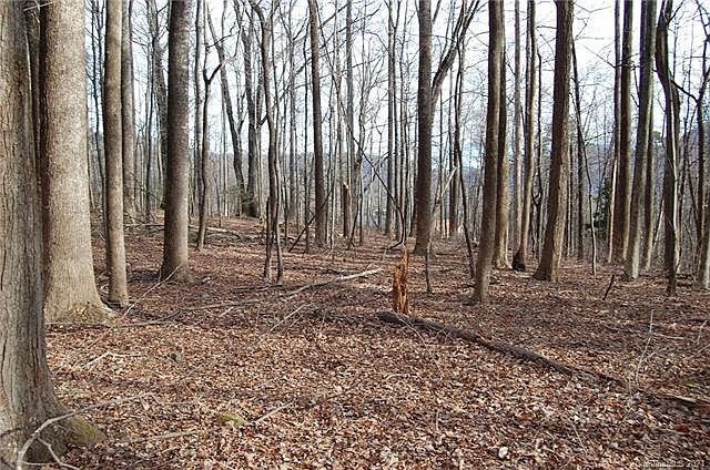 1st image of 0 Big Rock Ln #314