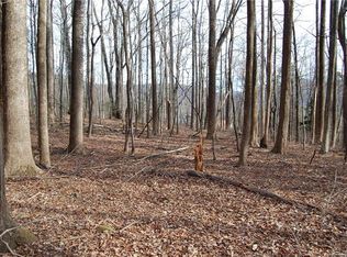 0 Big Rock Ln #314, Lake Lure, NC 28746