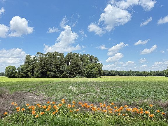 4th image of 854 Old Stage Rd Lot Wp002