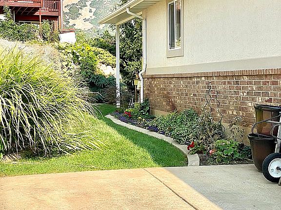 Towards the backyard 