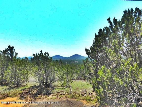 3rd image of 1457 E Chaparral Ln
