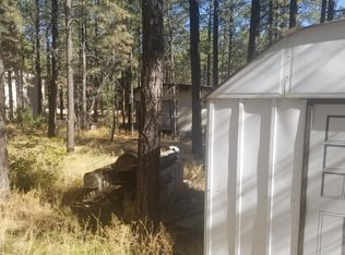 2893 Markham Rd, Overgaard, AZ 85933