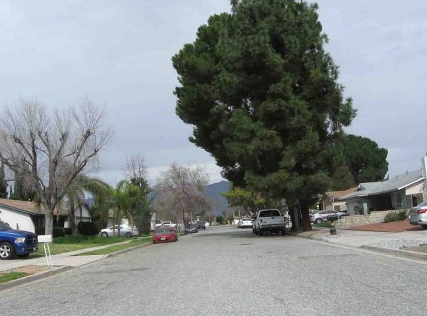 Exterior Neighborhood (street photo)