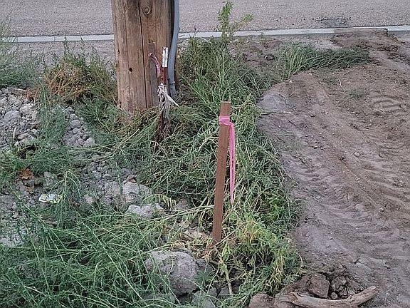 5th image of W Chicago St