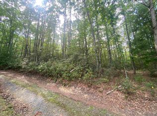 Hunters Ln, Williamsville, VA 24487