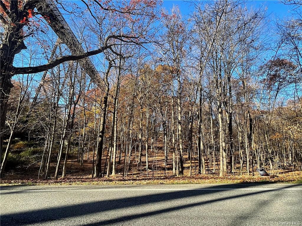 Orrs Mills Road, Salisbury Mills, NY 12577 MLS H6219128 Zillow