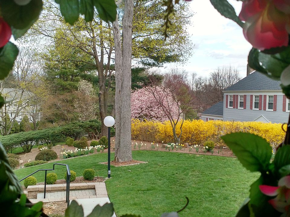 Flowers of Spring 