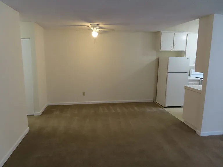 7890 Camino Glorita — Photo 5