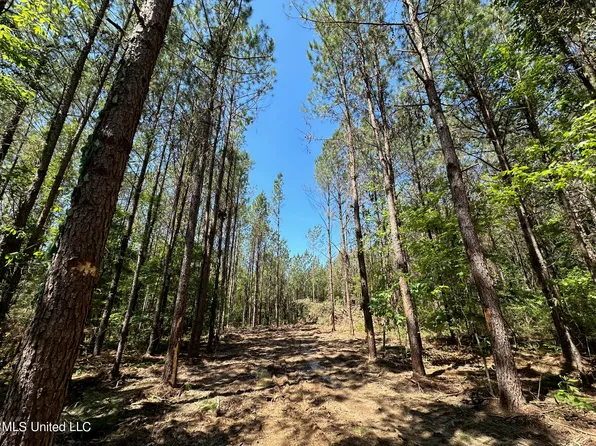 1 Henry Cannon Rd, Braxton, MS 39044