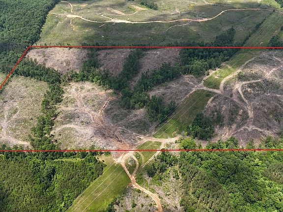 Dji 20250610135003 0223 D