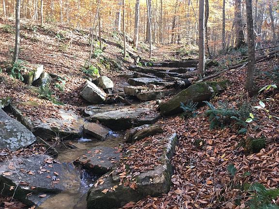 5th image of 17350 Old State Road 37