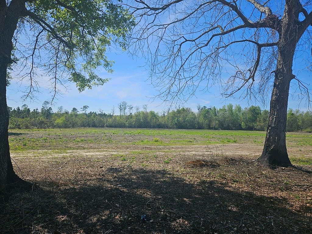 1 Cowart Rd, Lakeland, GA 31635 MLS 139704 Zillow