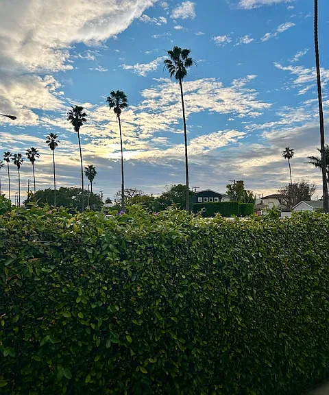 Sunset Ave — Photo 36