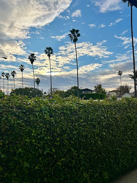 Sunset Ave